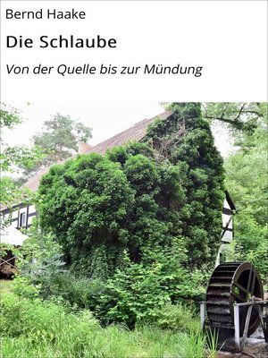 cover image of Die Schlaube